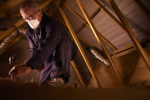Best Insulation Maintenance and Repair in Desloge, MO